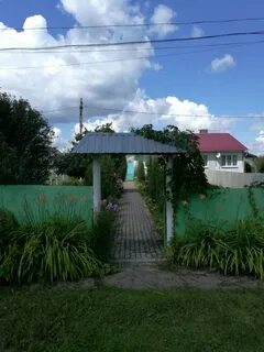 Погода в селиваново