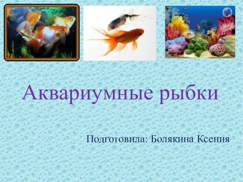 Аквариумные рыбки презентация. Аквариумные рыбы презентация для дошкольников. Аквариумные рыбки для дошкольников. Презентация рыбки в аквариуме для дошкольников.