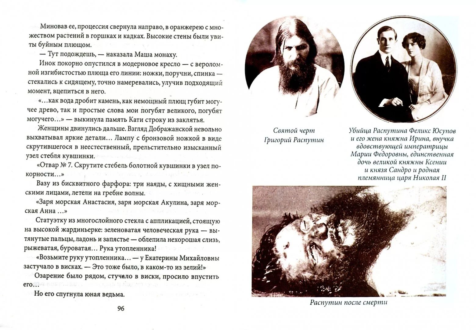 План по спасению императора. План по спасению императора