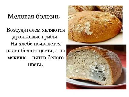 От дрожжей толстеют