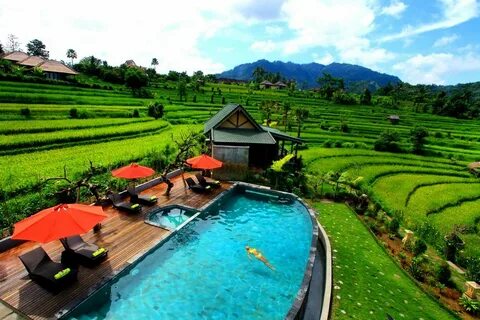 Di bali