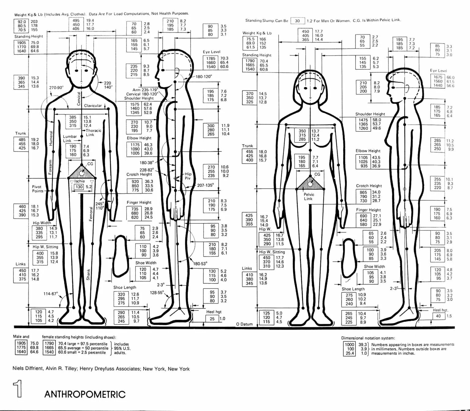 Data height