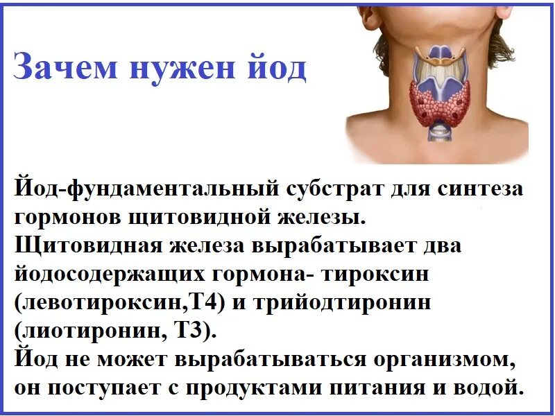 Хронический дефицит йода. Йоддефицитные заболевания. симптомы йоддефицитных заболеваний.