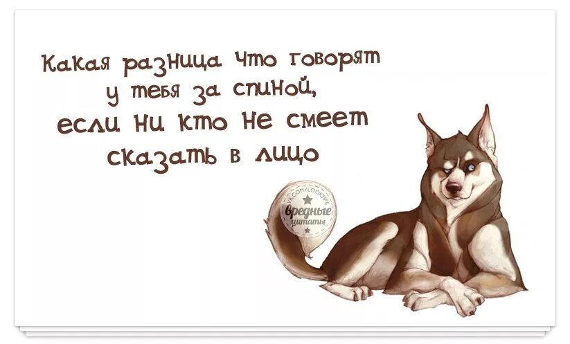 статусы про сплетниц.