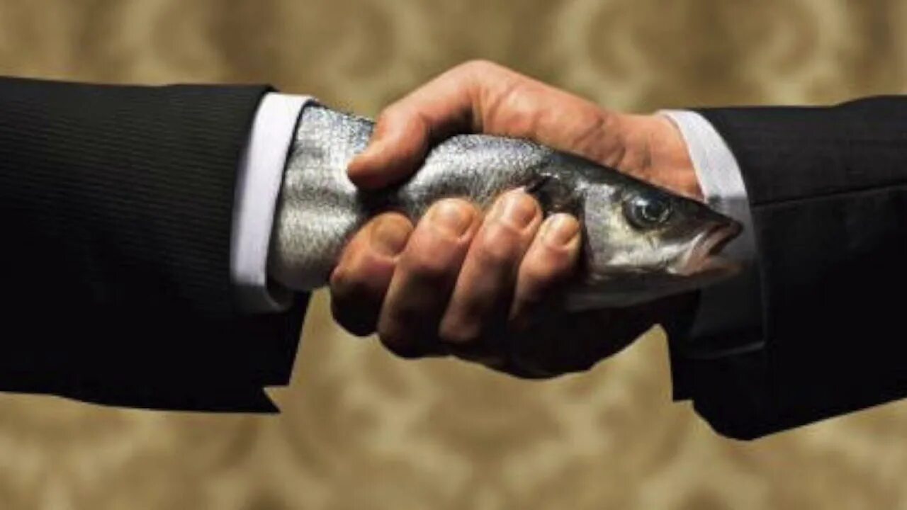 Рыба в руках человека. Девушка с глазами рыбы. Вобла девушка. Рыба с руками. Рыбак с щукой.