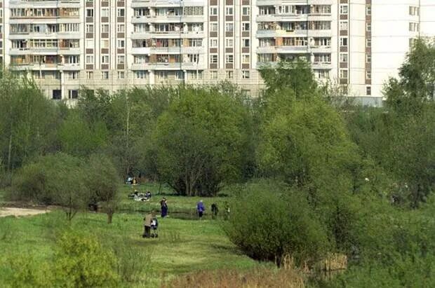 (свао, южное медведково). Медведково название. Медведково название. Достопримечательности северного медведково. Улица молодцова москва.