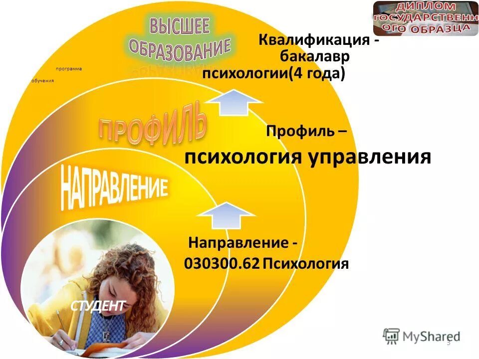бакалавриат психология. основные направления психологического сопровождения осужденных. направление психология профиль. 9. направления психологической подготовки.