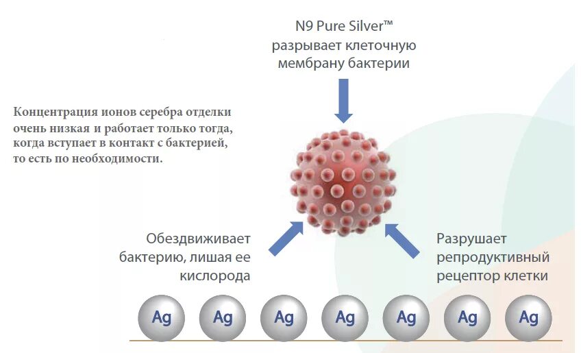 Наночастицы серебра и бактерии. Механизм действия наночастиц серебра. Ионы серебра наночастицы. Наночастицы коллоидного серебра. Ионы серебра можно обнаружить