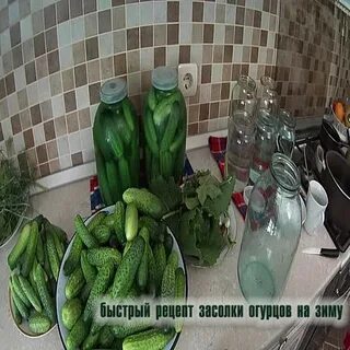 Быстрая засолка для огурцов