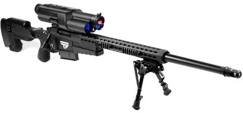 M point