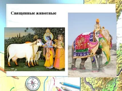4 священных животных