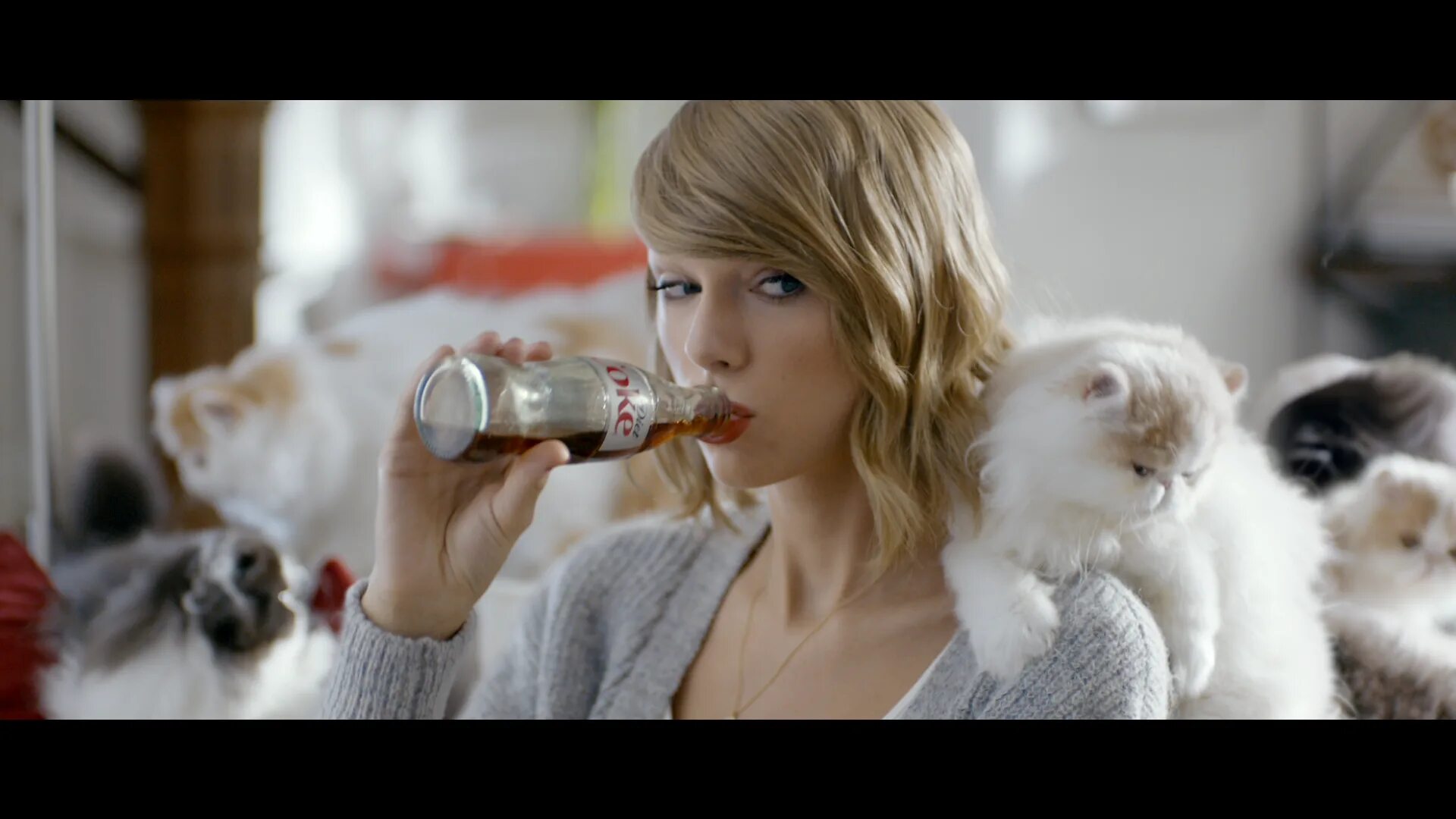 Ролик тейлор. Тейлор Свифт и Мередит. Кошка Тейлор Свифт. Taylor Swift Coca Cola. Реклама колы с Тейлор Свифт.