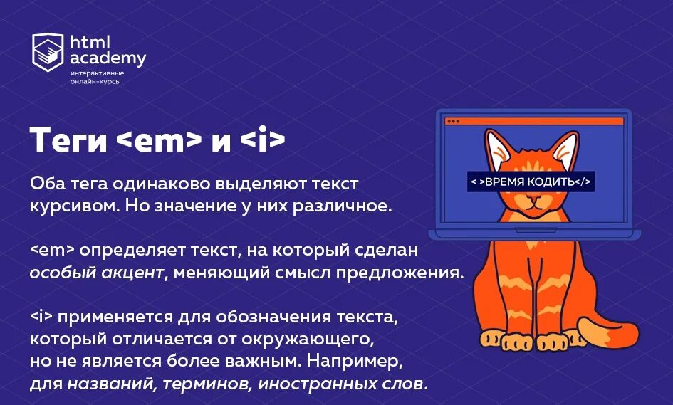 Html Академия. Html Academy кот. Html Academy логотип. Html Academy офис.