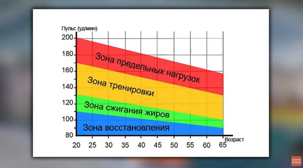 Пульс при нагрузках у мужчин. Пульс при беге. Пульс при тренировках. Какой должен быть пульс. Какой пульс должен быть при беге.