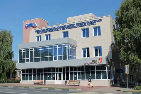 Губкин компания