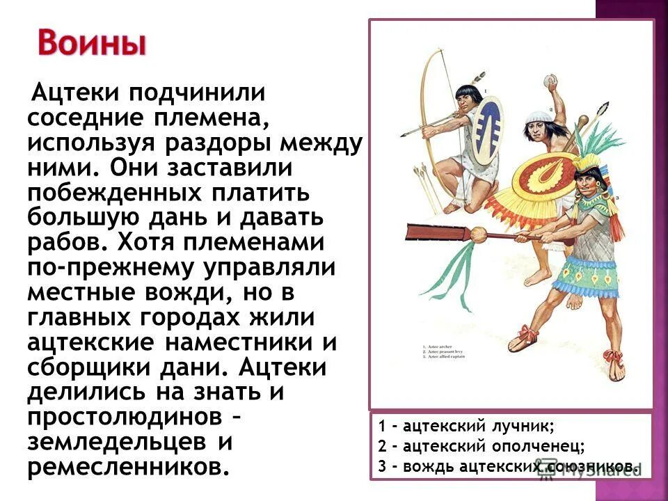 Богиня ацтеков коатликуэ. Цивилизация ацтеков кратко. Богиня ацтеков коатликуэ. Цивилизация ацтеков сообщение. Доколумбовая америка ацтеки майя.