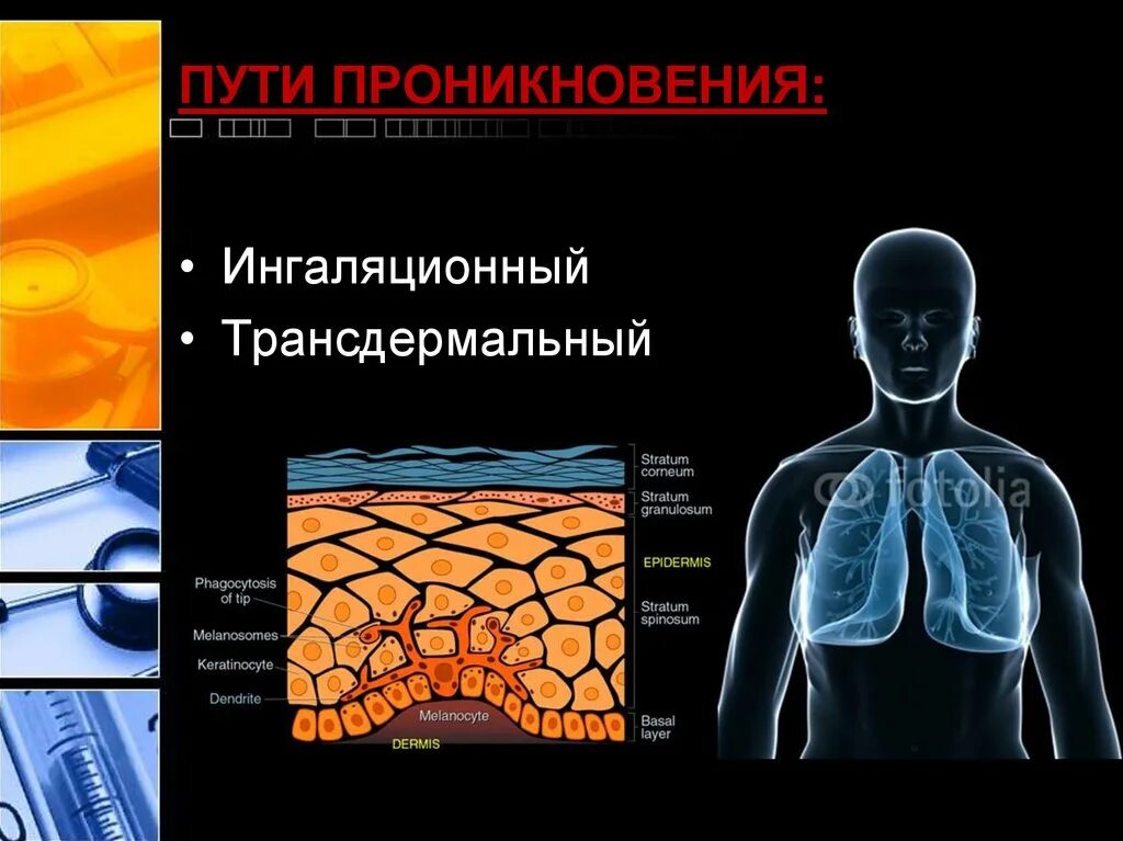 Пути проникновения бензола в организм. Бензол воздействие на организм. Влияние бензола на организм человека. Бензол воздействие на человека. Воздействие бензола