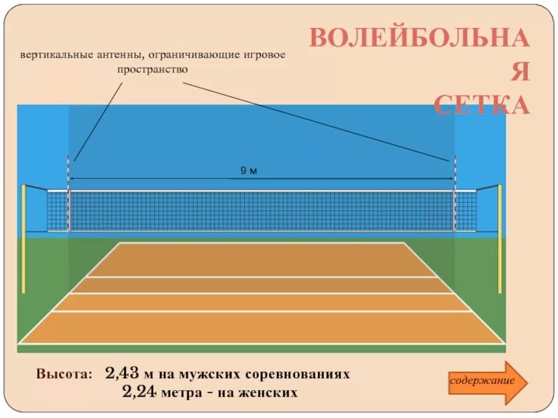 Верхний край сетки в волейболе