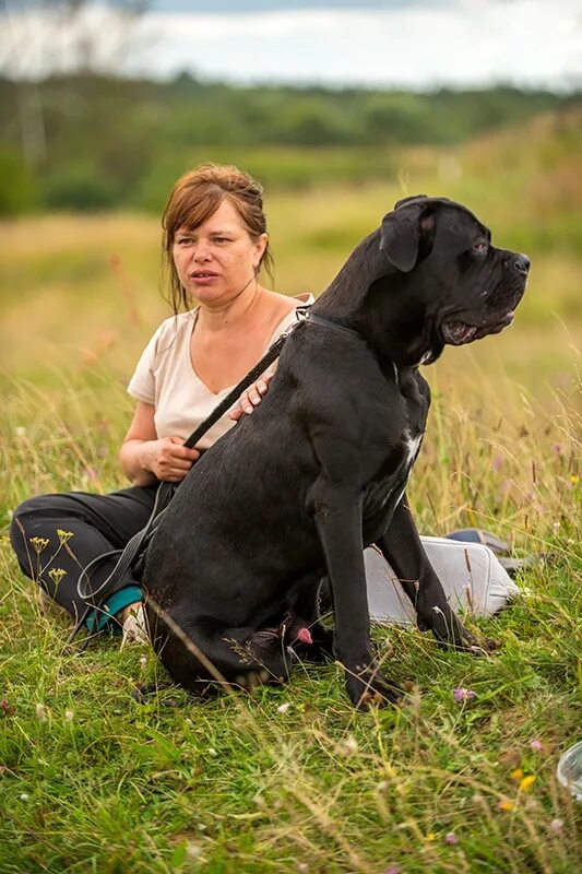 Питомник осташков. Питомник осташков. Питомник осташков. Питомник осташков. Плодово ягодный сад.