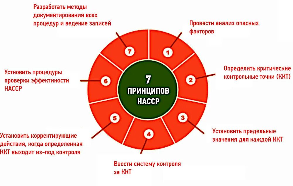 Основы принципов хассп