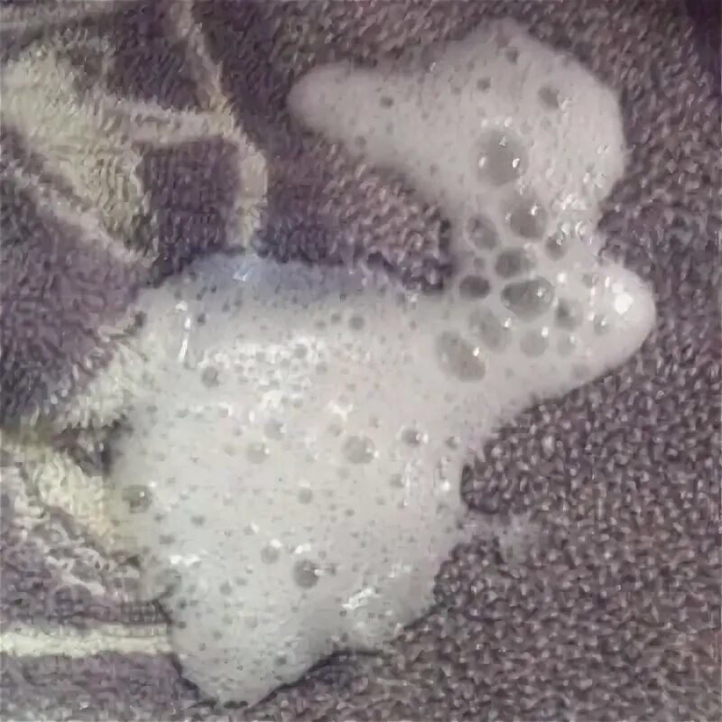 Вырвало чем то белым. Вырвало чем то белым. Собаку стошнило желтой жидкостью с пеной. Рвота у щенка белой пеной. Кошка срыгивает желтую жидкость.