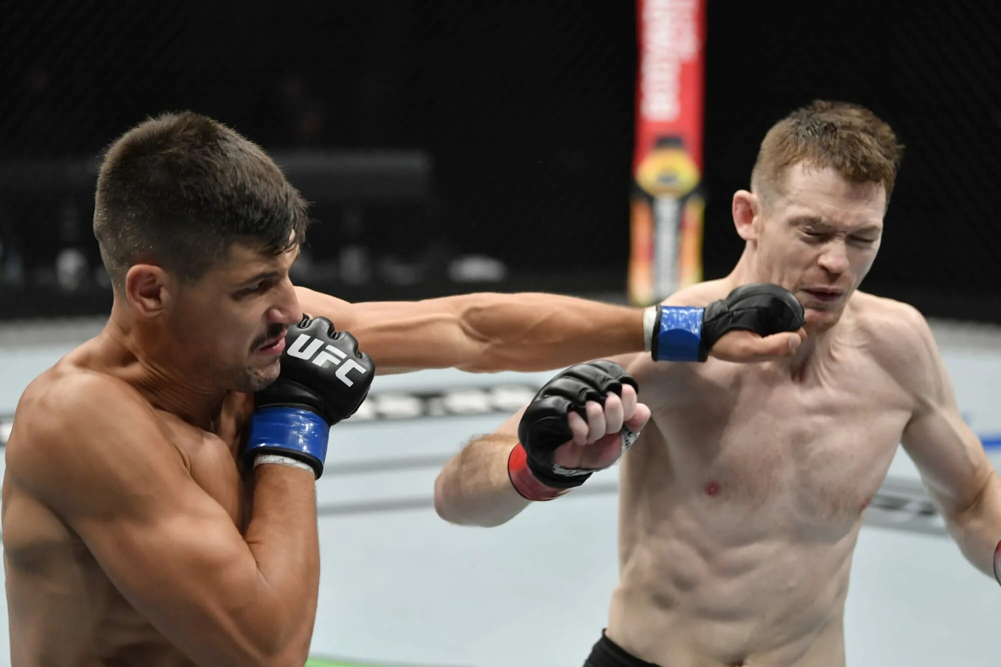 Ufc 25.02 2024. Йоэль Альварес ММА. Джоэл Альварес Joel Alvarez. Joel Alvarez Thiago moises.