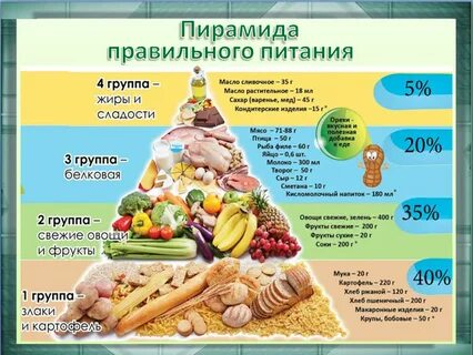 Рациональные продукты питания