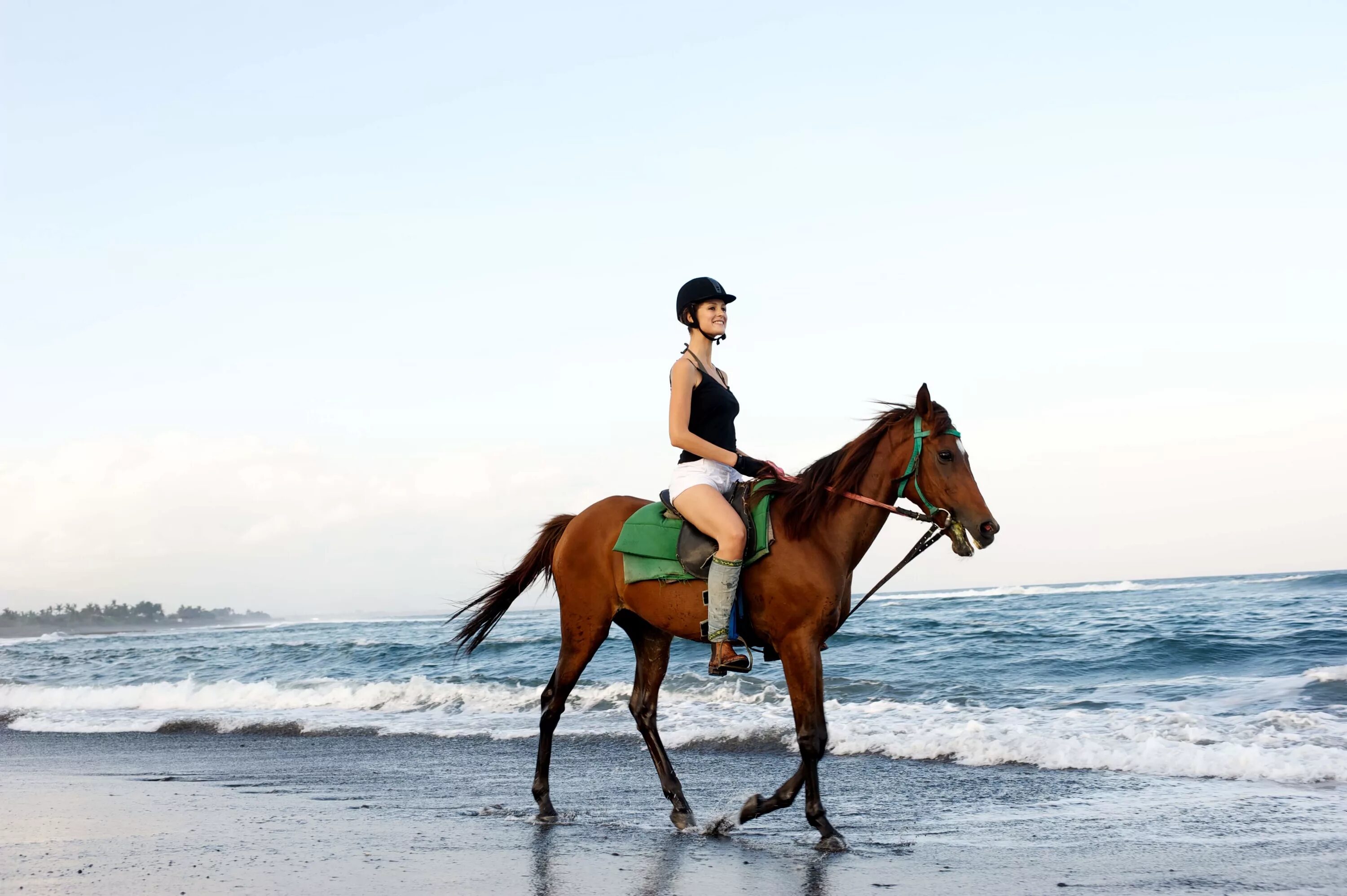 Horse riding. Галоп на море. Галоп на пляже. Horseback riding.