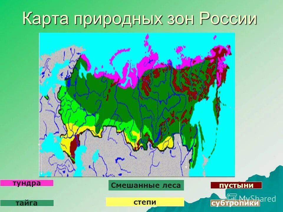 тундра тайга зона смешанных. россия тундра тайга. карта россии с тундрой и степями. тундра тайга зона смешанных. природные зоны россии смешанные и широколиственные леса на карте.