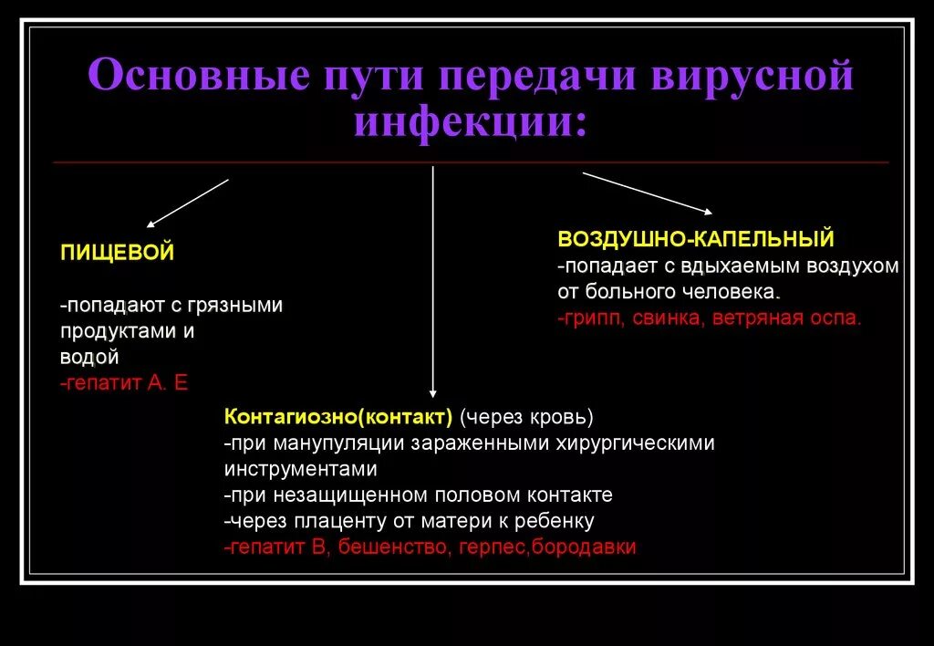 Группы вирусных инфекций. Способы передачи вирусных инфекций. Пути передачи вирусных инфекций. Способы. Передачи вирусов инфекций. Основные пути передачи вирусов.