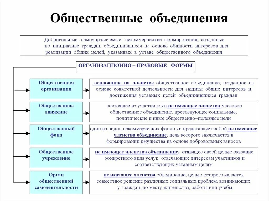 Понятие организационно правовых основ. Классификация общественных объединений схема. Общественные объединения виды общественных объединений. Виды общественных объединений по законодательству РФ. Общественные объединения Конституционное право.