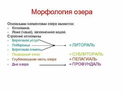 Озеро морфологический