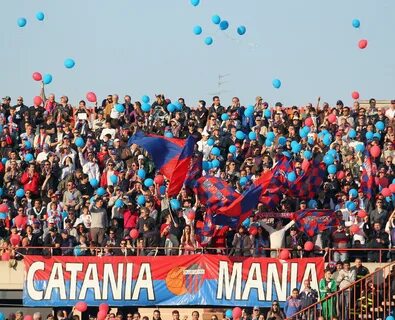 Катания 24