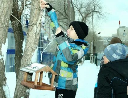 Экологическая зима