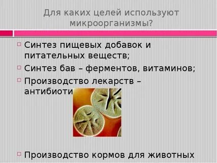Для каких видов продукции человек использует микроорганизмы