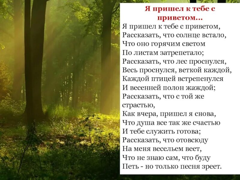 Я пришел сказать что солнце встало. Афанасий Фет я пришел к тебе с приветом. Стихотворение Фета я пришёл к тебе с приветом. Афанасий Афанасьевич Фет я пришел к тебе с приветом. Сих я пришел к тебе с приветом.