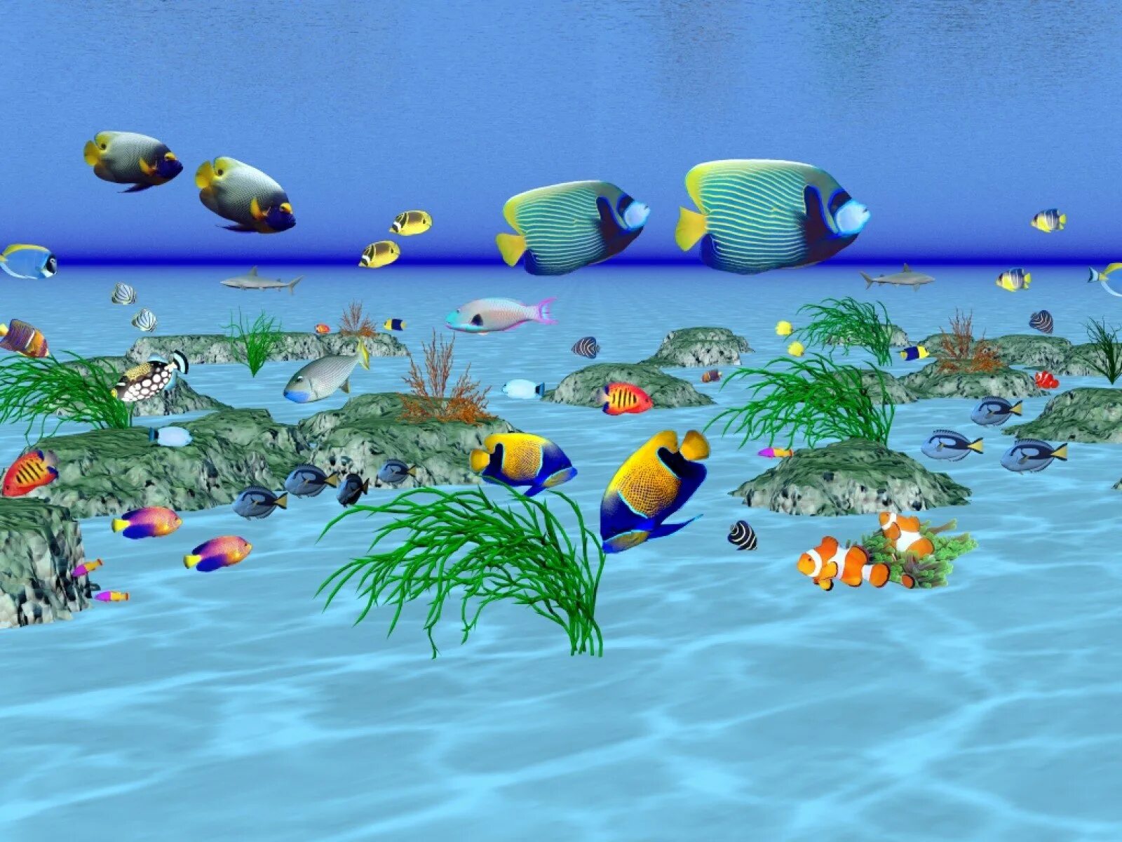 Бесплатные живые обои рыбки. Рыбки плавают. Живые рыбки. Заставка рыбки плавают. Заставка аквариум с плавающими рыбками.