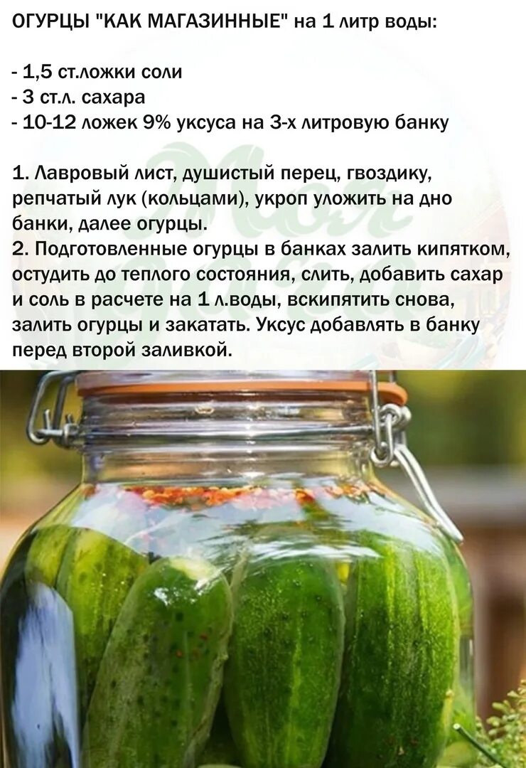 Рецепт огурцов на литр воды. Свежие огурцы на зиму. Закрытие огурцов на зиму. Огурцы для закрытия рецепт. Как как закрывать огурцы на зиму.