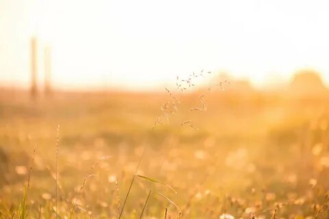 Утро было солнечное безветренное но не