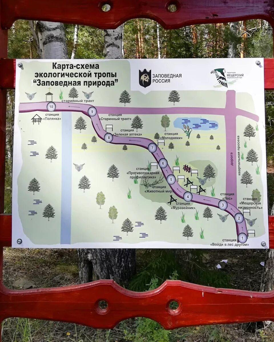 Экотропа как добраться. Экотропа как добраться. Вднх лесная тропа. Экотропа сестрорецкое болото. Экотропа сестрорецкое болото.