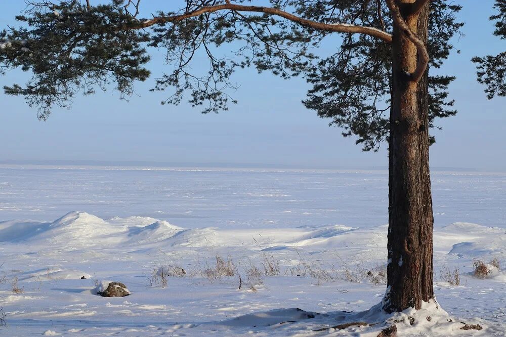 Онега зимой. Онежское озеро зимой. Онежское озеро Петрозаводск зимой. Онежское Поморье зима. Озере Онего зимой.