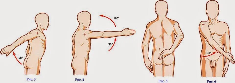 Максимальные движения суставов. Сгибание разгибание отведение приведение. Отведение и приведение плечевого сустава. Плечевой сустав сгибание разгибание отведение. Сгибание разгибание отведение приведение в плечевом суставе.