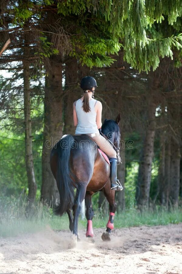 Кона упражнения. Девушка на лошади в лесу. Девушка верхом на лошади. Верхом на лошади в лесу. Девушки на лошадях верхом на тренировке.