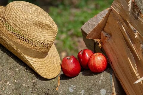 Fruit hat