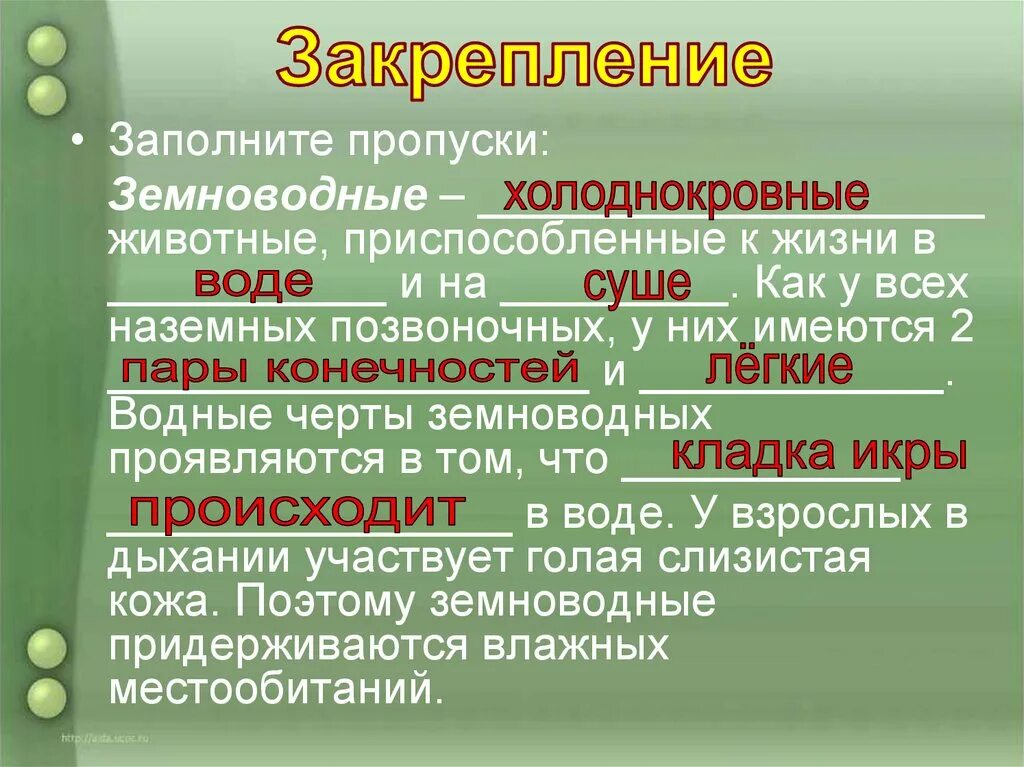 Заполните пропуски в тексте животное. Заполните пропуски в тексте земноводные обитатели. характеристика холоднокровных и теплокровных животных. холоднокровные и теплокровные животные таблица. земноводные холоднокровные животные.