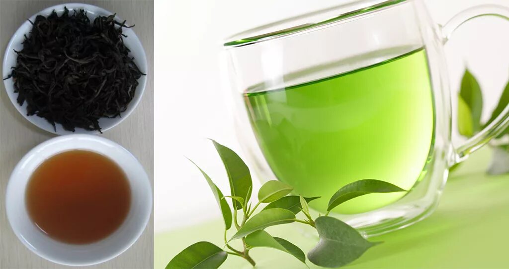 Цвет зеленого чая. Зелёный чай при беременности. Зеленый чай можно пить беременным. Зелёный чай при беременности 2 триместр.