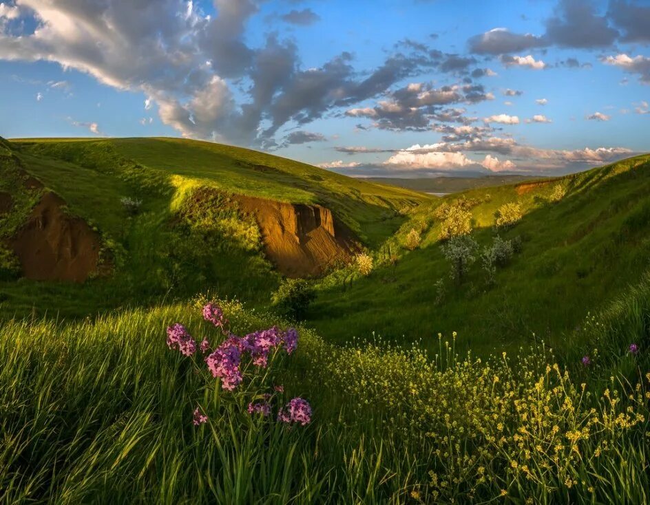 Край изображения. Федор Лашков природа Ставропольского края. Степи Ставропольского края. Чапурниковская балка фото. Балка второй Лог Ставрополь.