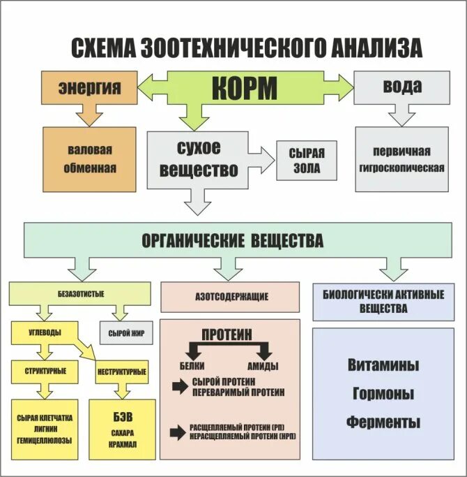 Схема зоотехнического анализа кормов. Схема зоотехнического анализа химического состава кормов. Современная схема зоотехнического состава кормов. Современная схема зоотехнического анализа кормов. Анализ сх