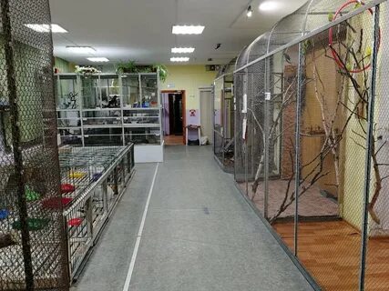 Живая зона