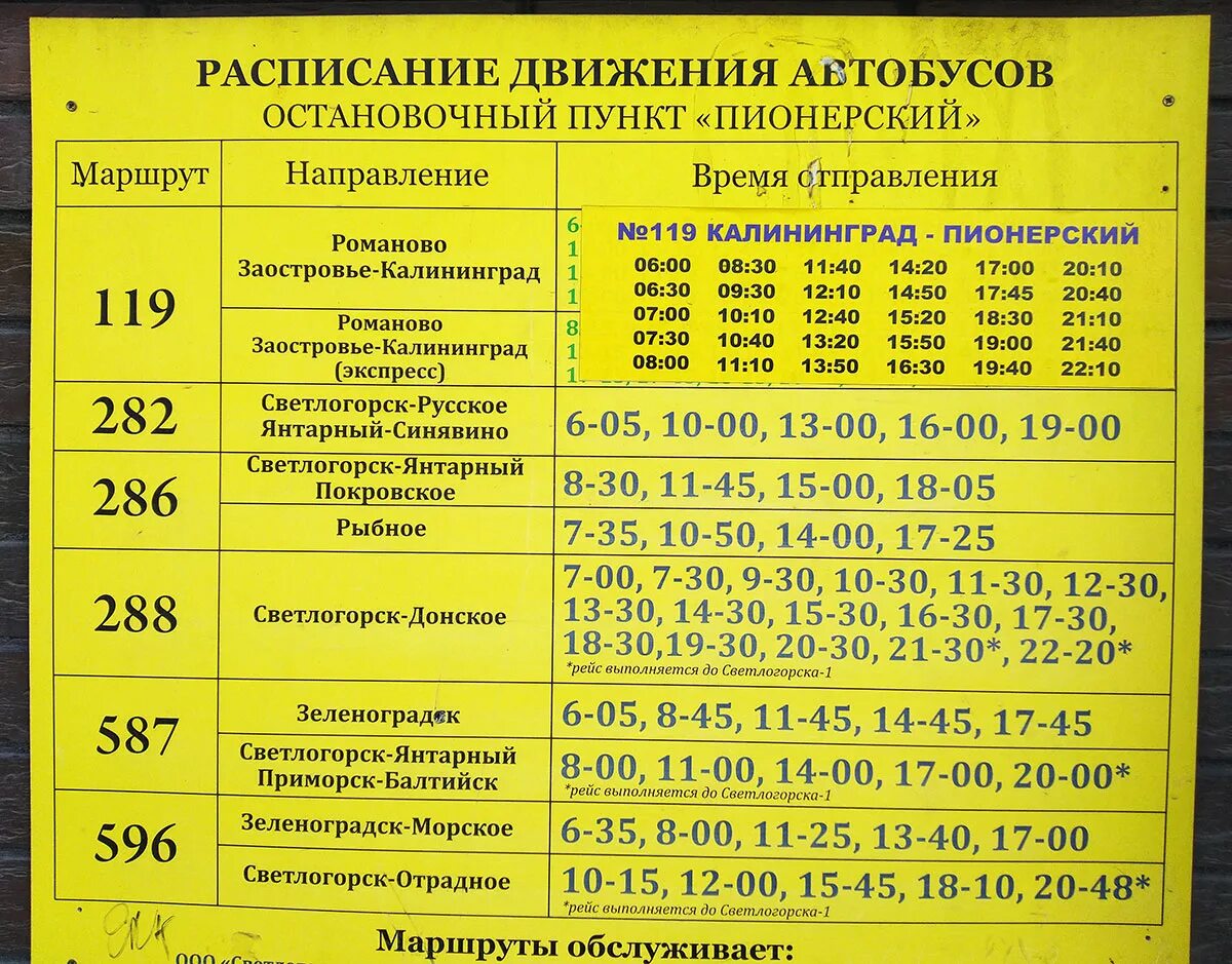 Вокзал зеленоградск расписание автобусов. Автобус 119 Пионерский Калининград расписание. Расписание автобусов Пионерский Светлогорск. Автобус Пионерск Светлогорск. Расписание автобусов 119 Зеленоградск Пионерский.